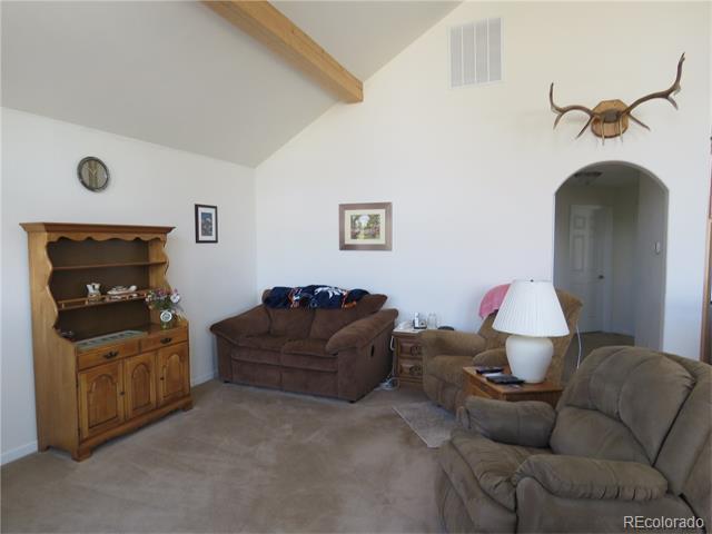 24130 County Road 301A, Buena Vista, CO 81211