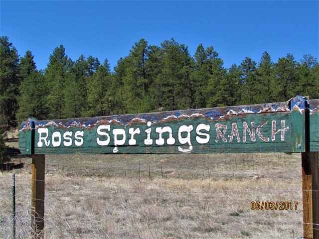 1420 Coyote Run, Cotopaxi, CO 81223