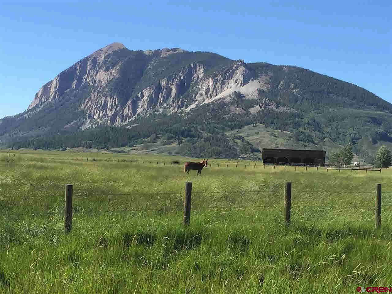 1192 Hidden River Road, Crested Butte, CO 81224