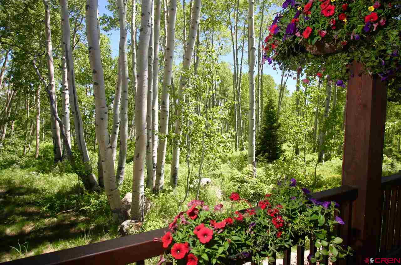 643 Meadow Lane, Crested Butte, CO 81224