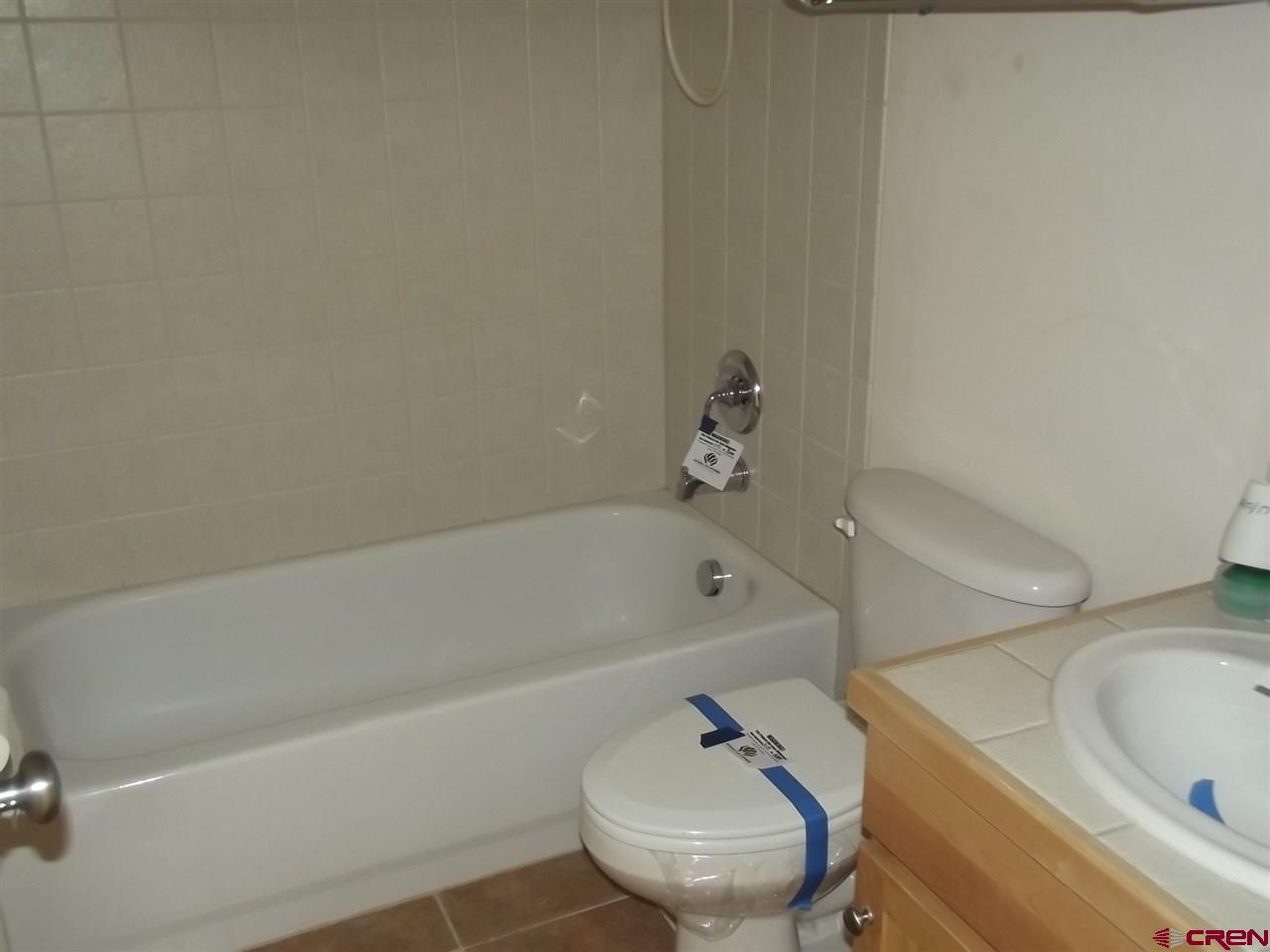 112 Big Sky Drive, Mt. Crested Butte, CO 81225