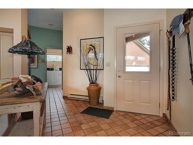 14700 County Road 261g, Nathrop, CO 81236