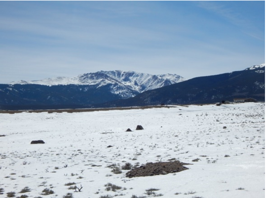 268 Tenderfoot PlaceTwin Lakes, CO, 81251Lake County