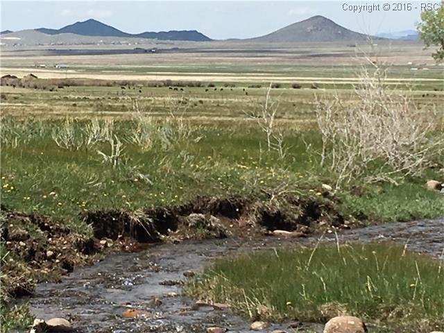 County 125 Road, Westcliffe, CO 81252