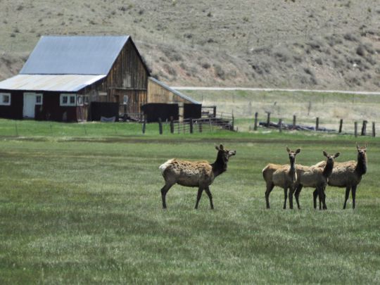 53817 HWY 69, Westcliffe, CO 81252