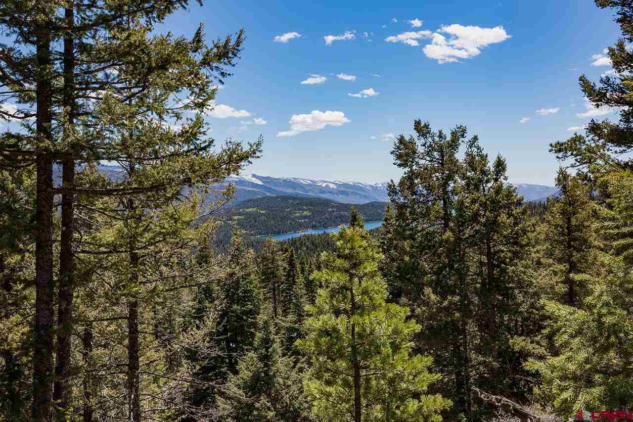 562 Columbine Road, Durango, CO 81301