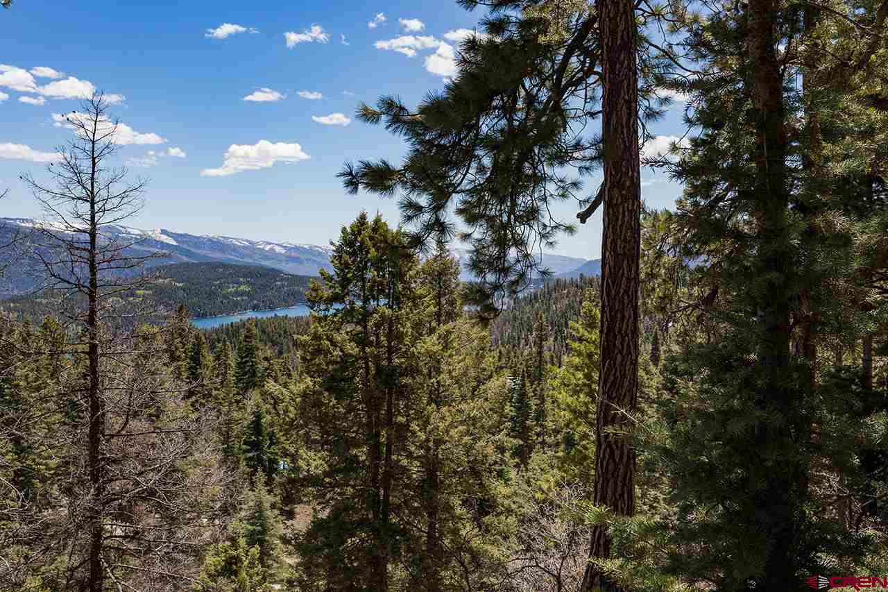 562 Columbine Road, Durango, CO 81301