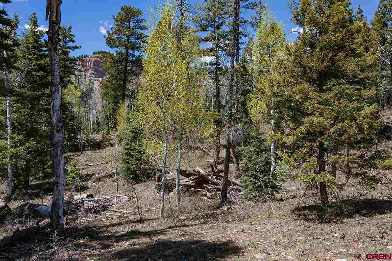 562 Columbine Road, Durango, CO 81301