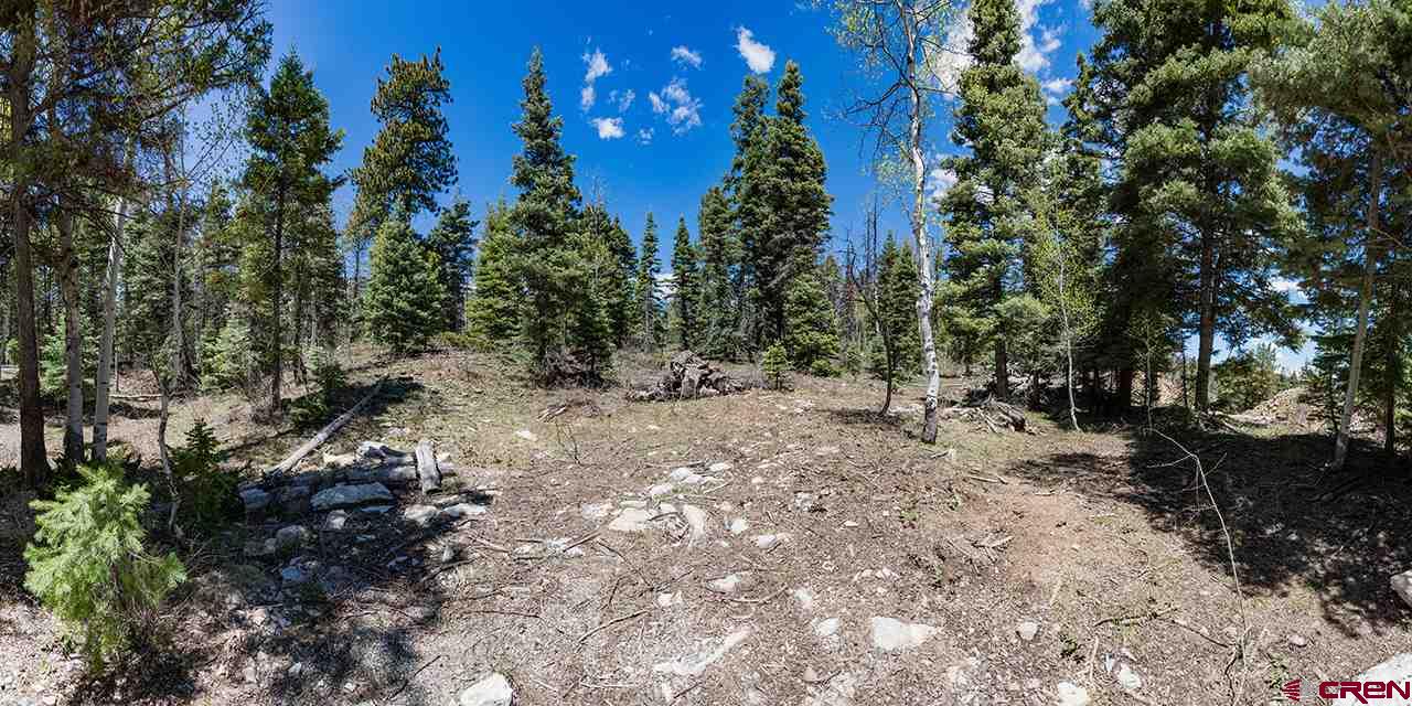562 Columbine Road, Durango, CO 81301