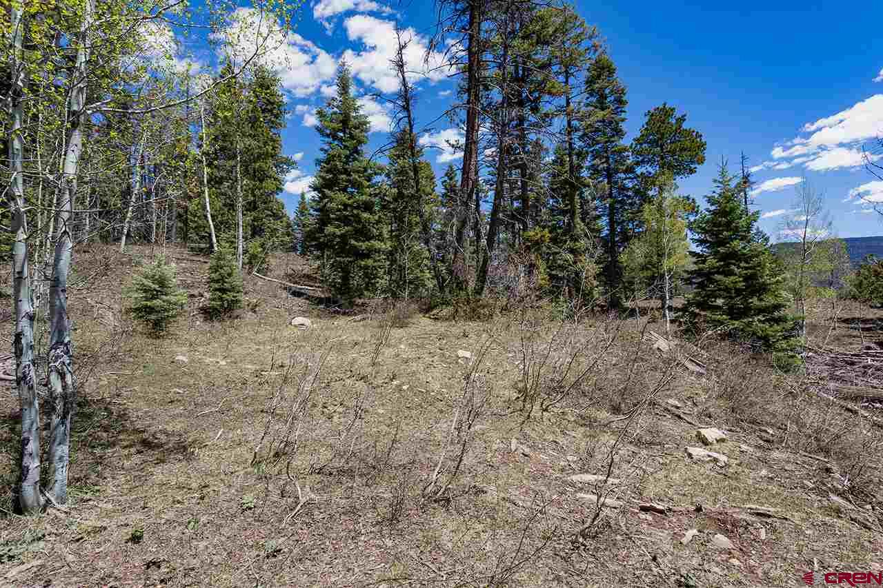 562 Columbine Road, Durango, CO 81301