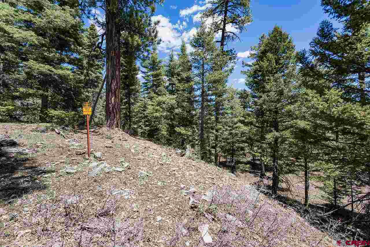 562 Columbine Road, Durango, CO 81301