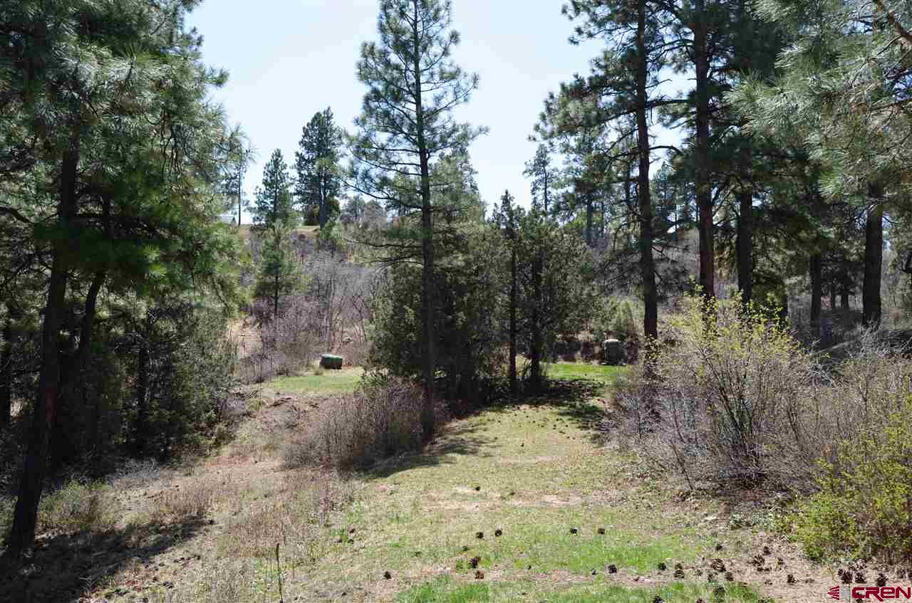 1172 Ridge Road, Durango, CO 81303
