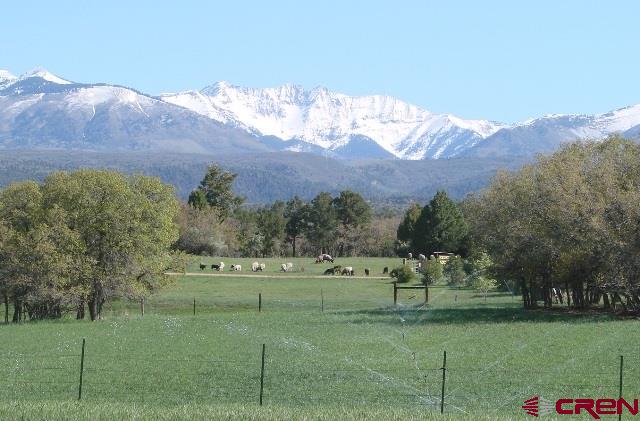 1281 CR 123, Hesperus, CO 81326