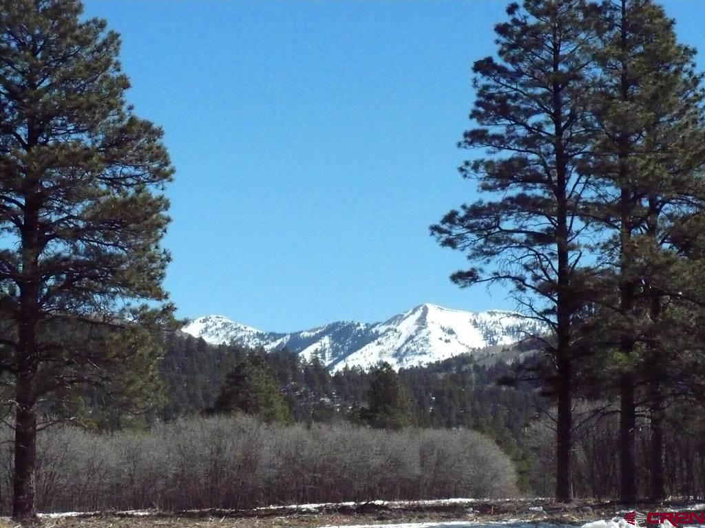 45825 HWY 160, Mancos, CO 81328