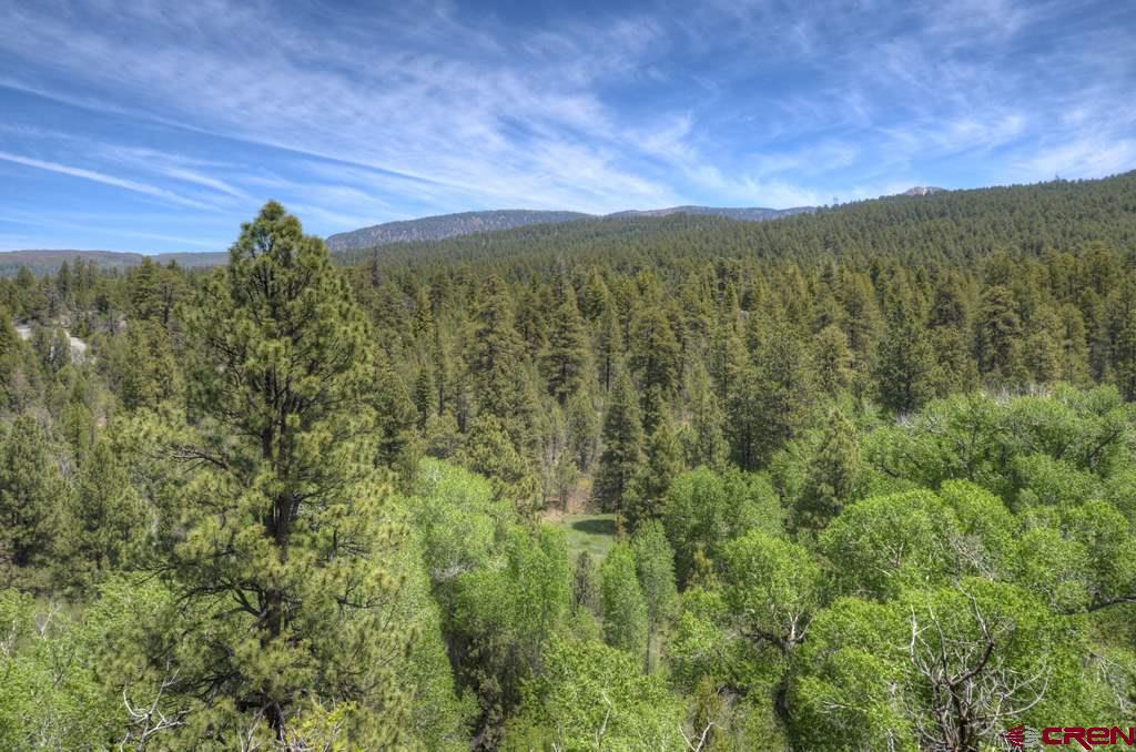 45825 HWY 160, Mancos, CO 81328