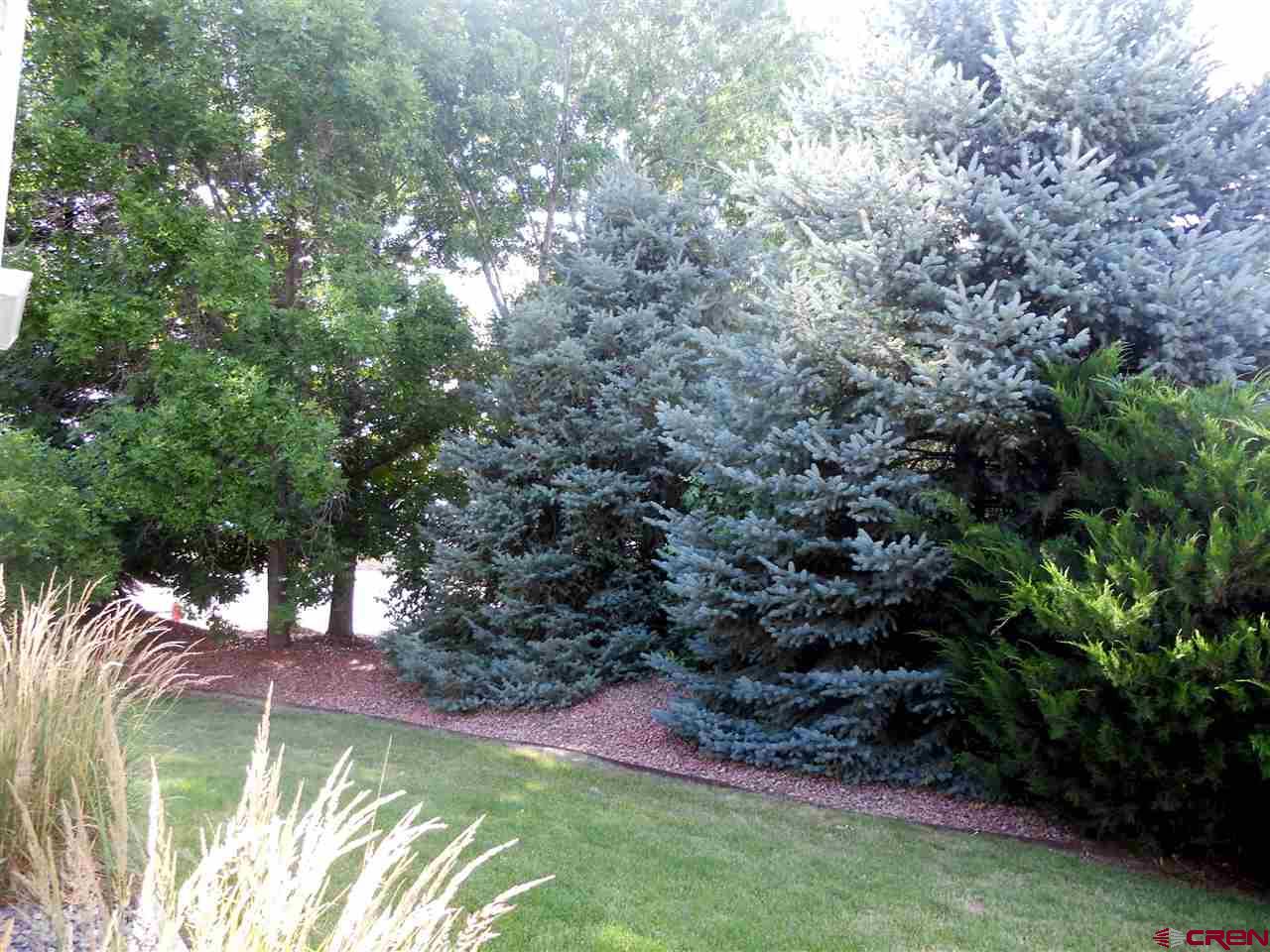 1802 Otter Pond Drive, Montrose, CO 81401