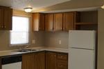 14555 MARINE RD TRLR 326 ,CO, Montrose, 81403