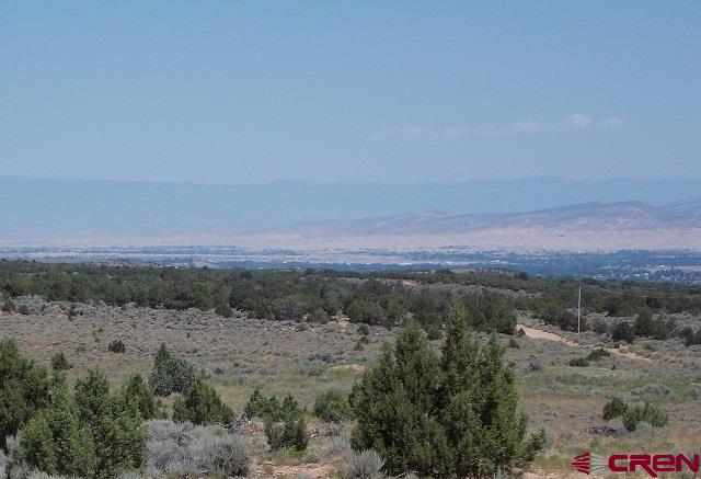 21185 Happy Canyon Road, Montrose, CO 81403