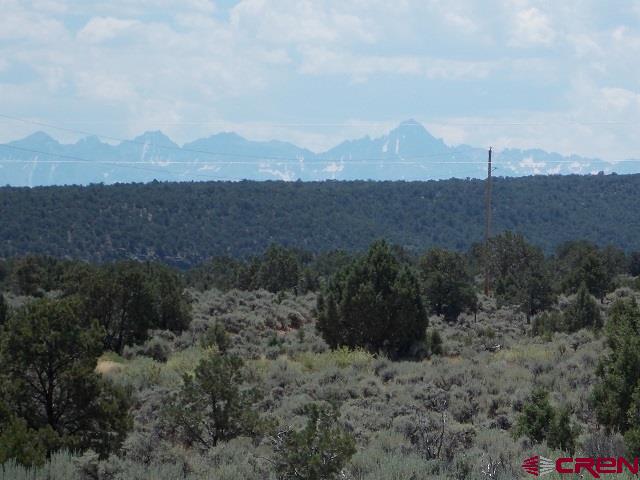21185 Happy Canyon Road, Montrose, CO 81403