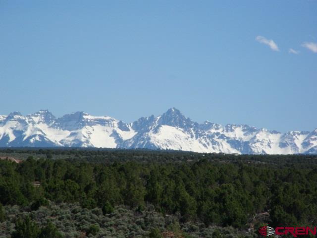 19068 Paradox Trail, Montrose, CO 81403