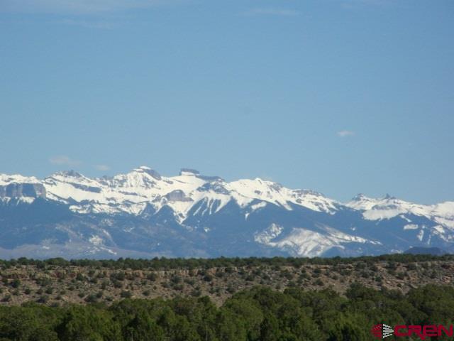 19068 Paradox Trail, Montrose, CO 81403
