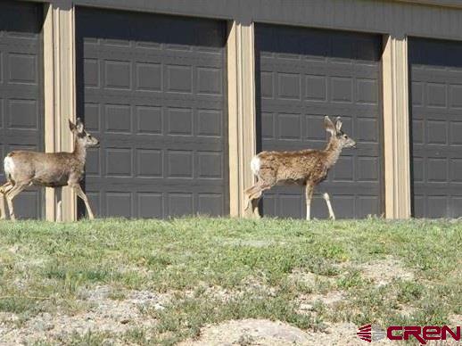 16668 Bull Mesa Road, Cedaredge, CO 81413