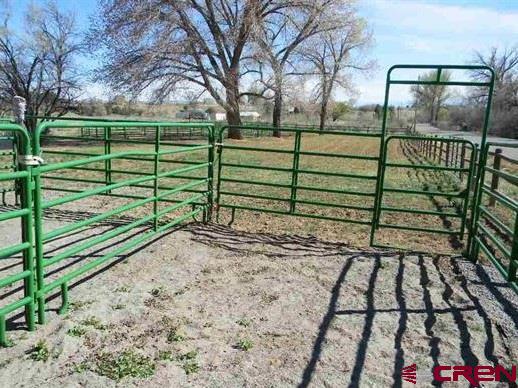 16668 Bull Mesa Road, Cedaredge, CO 81413