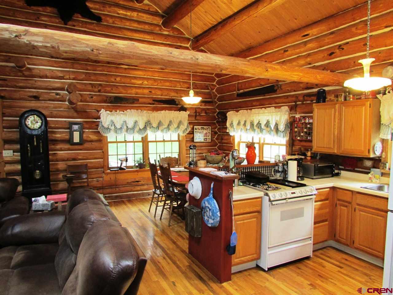 154 Loretta Court, Ouray, CO 81427