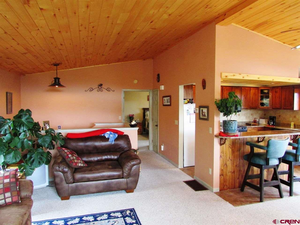 35 Pinon Road West, Ridgway, CO 81432