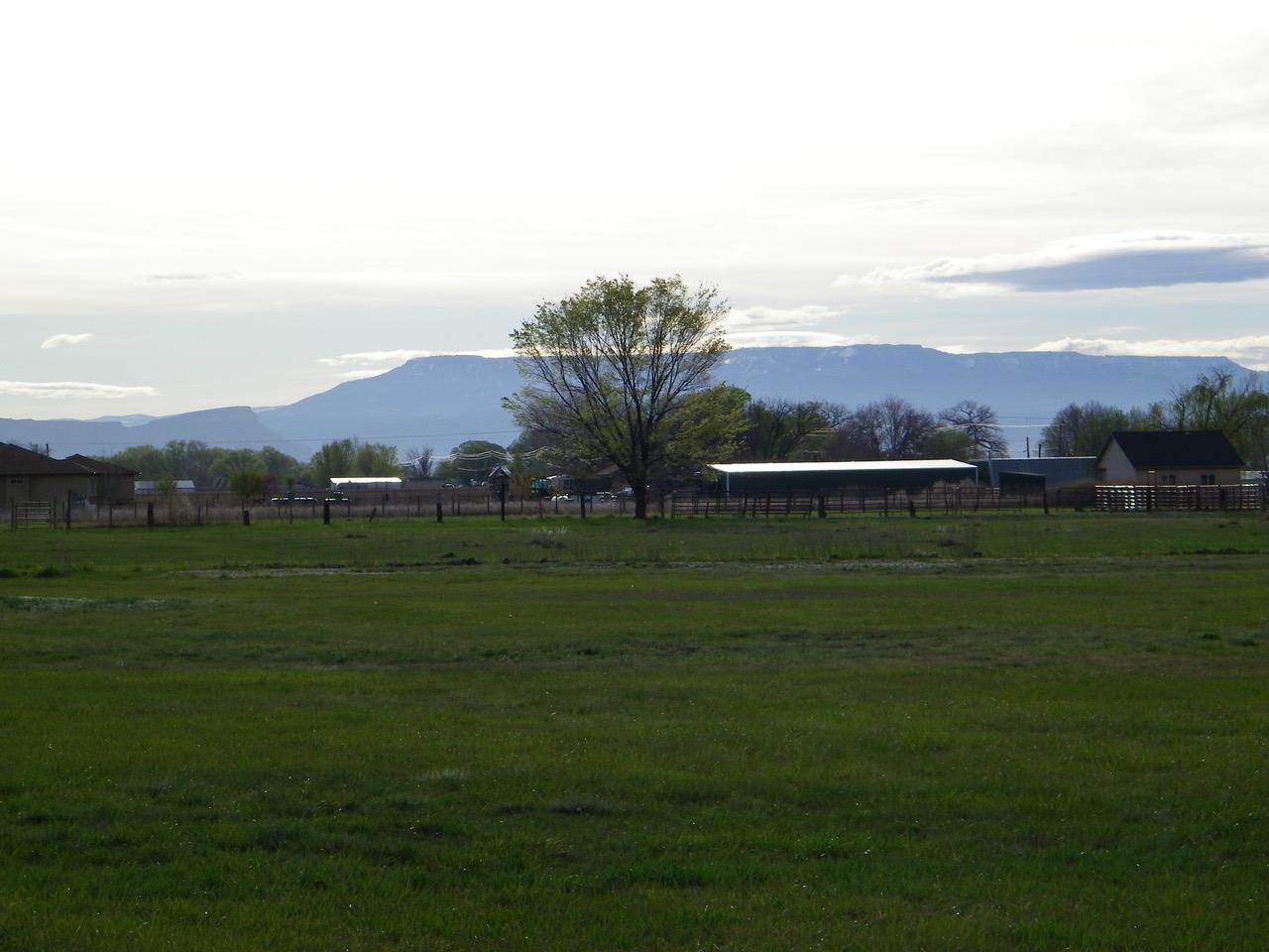 1866 J Road, Fruita, CO 81521