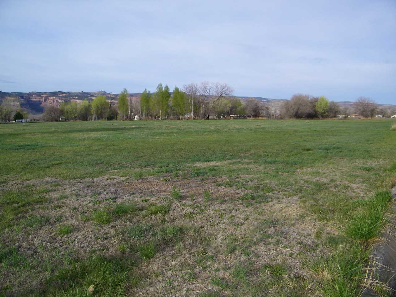 1866 J Road, Fruita, CO 81521