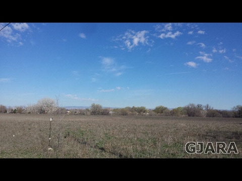 1196 17 Road, Fruita, CO 81521