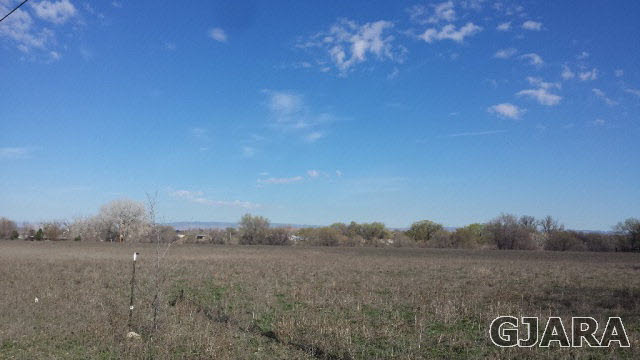 1196 17 Road, Fruita, CO 81521