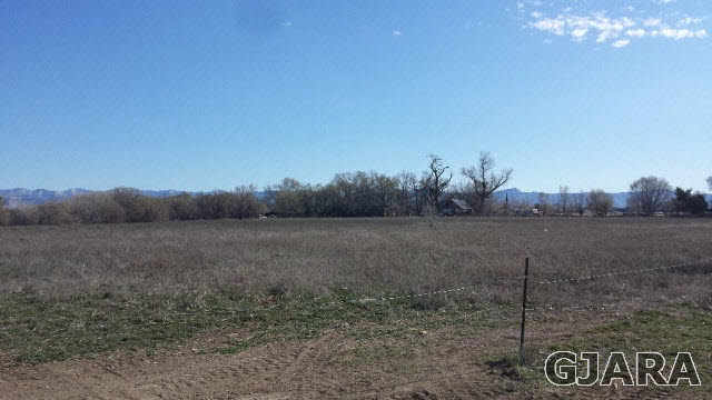 1196 17 Road, Fruita, CO 81521