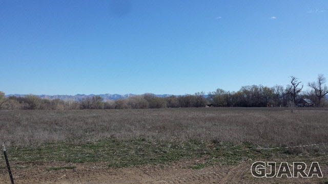 1196 17 Road, Fruita, CO 81521