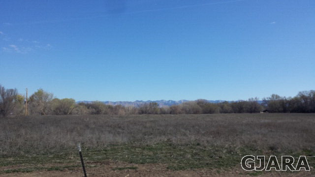 1196 17 Road, Fruita, CO 81521