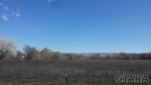 1196 17 Road, Fruita, CO 81521