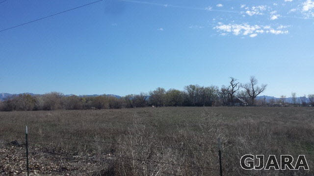 1196 17 Road, Fruita, CO 81521