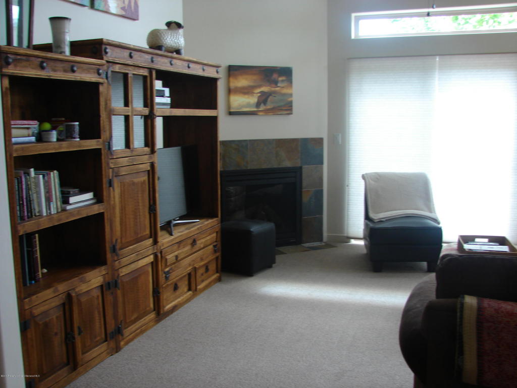 131River Vista Dr, Glenwood Springs, CO 81601