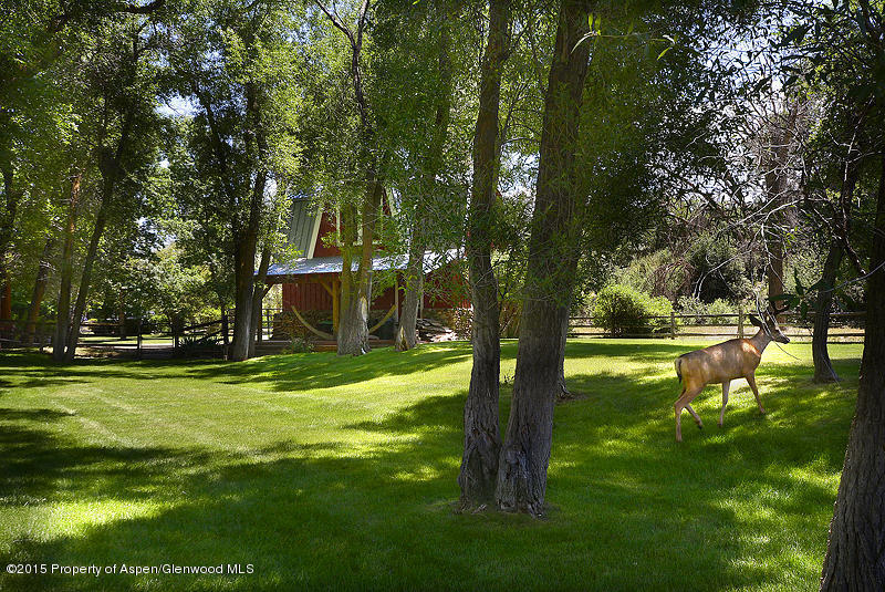 0182County Road 109, Glenwood Springs, CO 81601