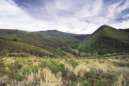 4424County Road 134, Glenwood Springs, CO 81601