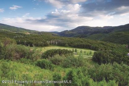 4424County Road 134, Glenwood Springs, CO 81601