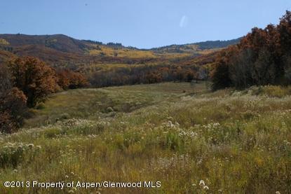 4424County Road 134, Glenwood Springs, CO 81601