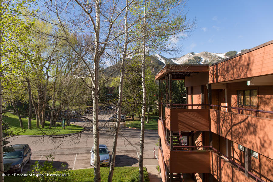 1233Vine Street, Aspen, CO 81611