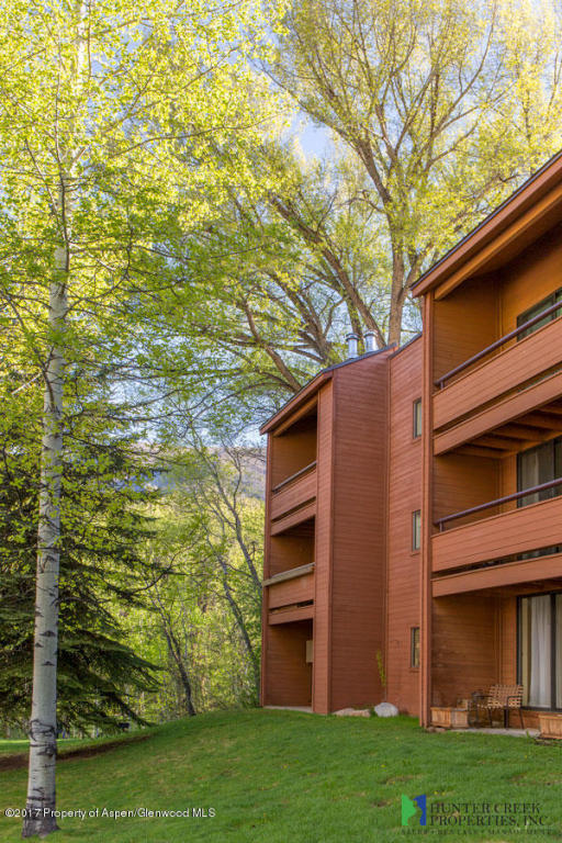 1233Vine Street, Aspen, CO 81611