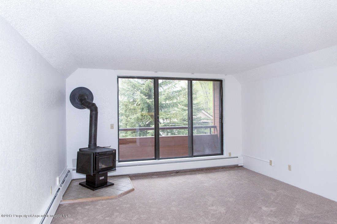 1233Vine Street, Aspen, CO 81611