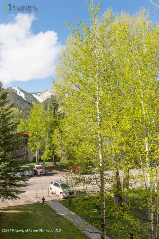 1233Vine Street, Aspen, CO 81611