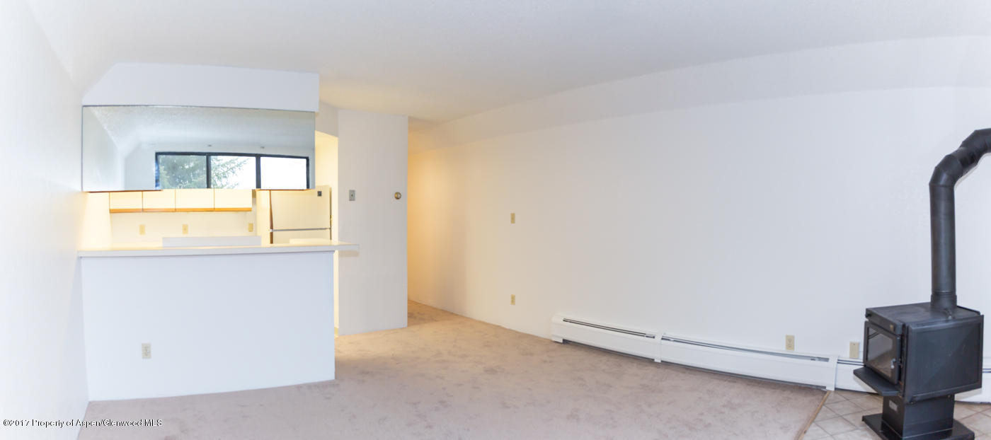 1233Vine Street, Aspen, CO 81611