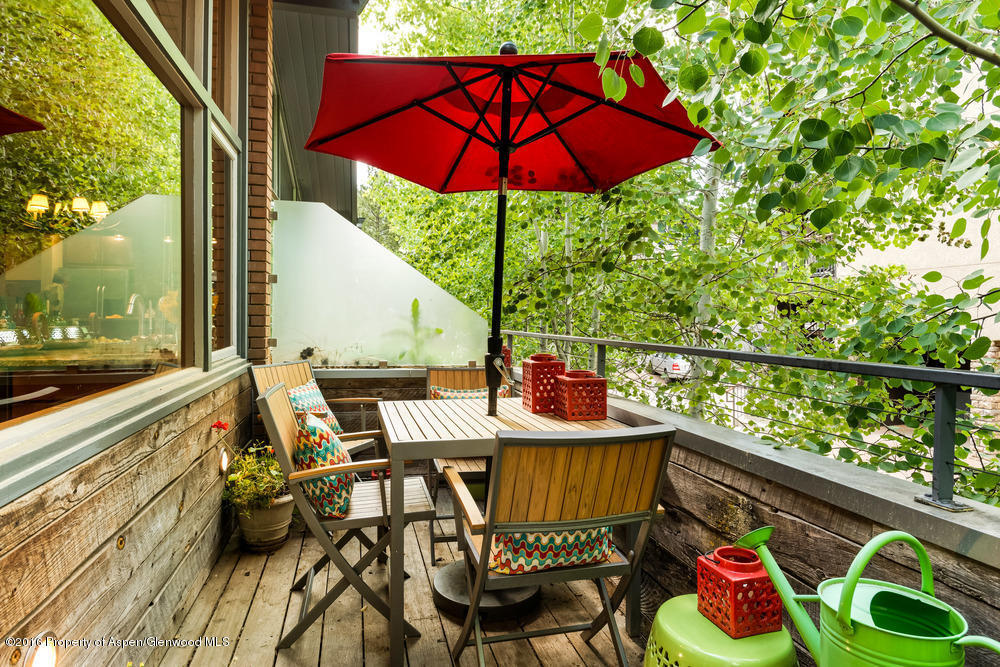 1001 E Cooper Avenue, Aspen, CO 81611