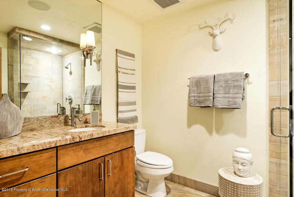 1001 E Cooper Avenue, Aspen, CO 81611